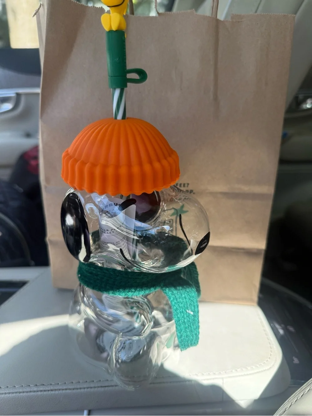 Snoopy 20 oz glass cold cup. Orange beanie, green scarf and Woodstock straw top